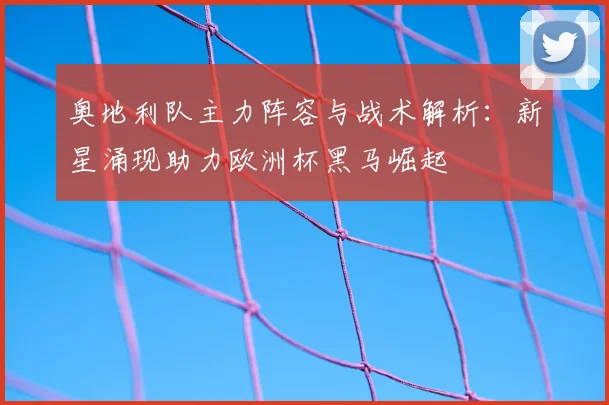奥地利队主力阵容与战术解析：新星涌现助力欧洲杯黑马崛起